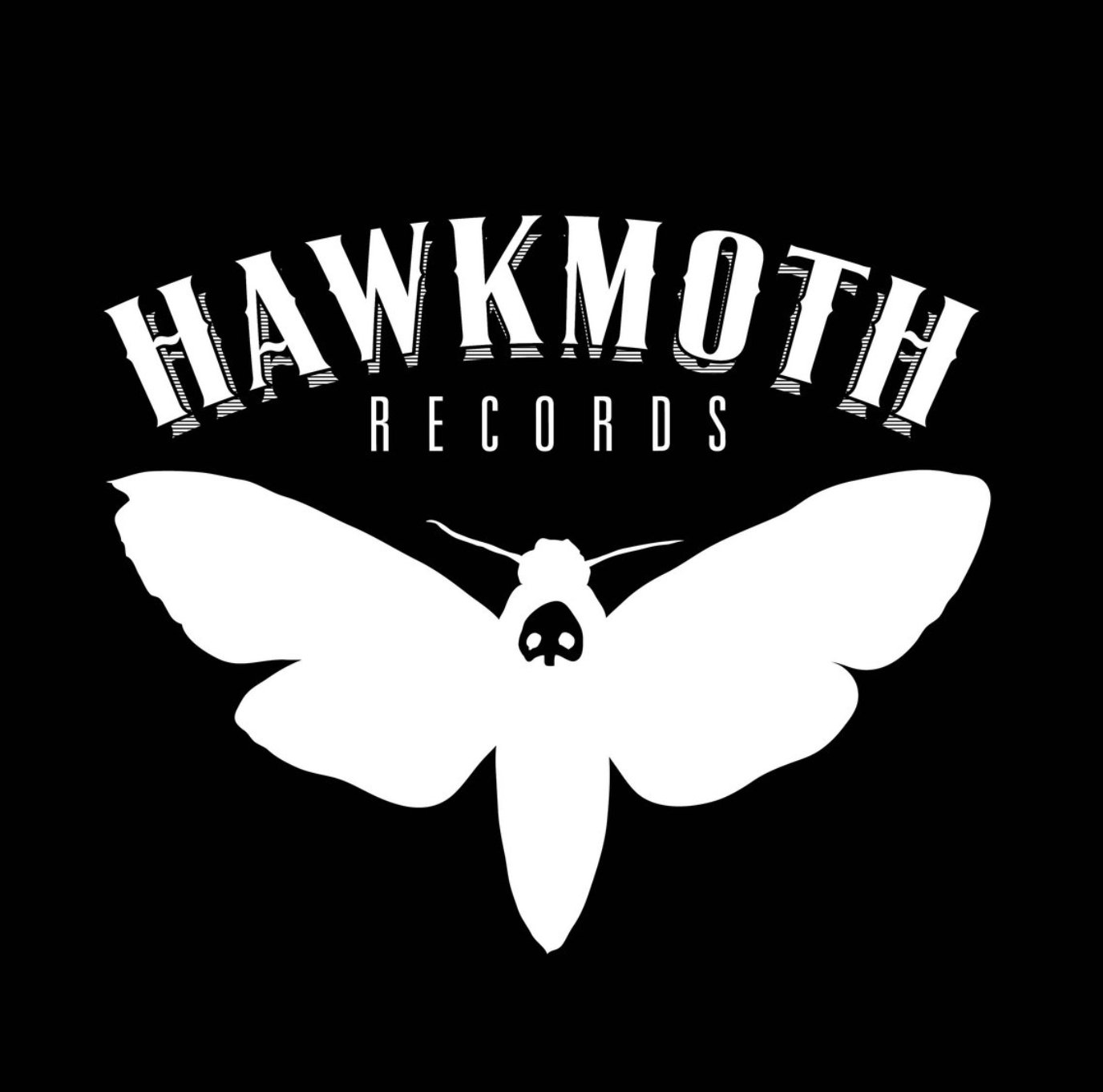 Hawk Moth Records